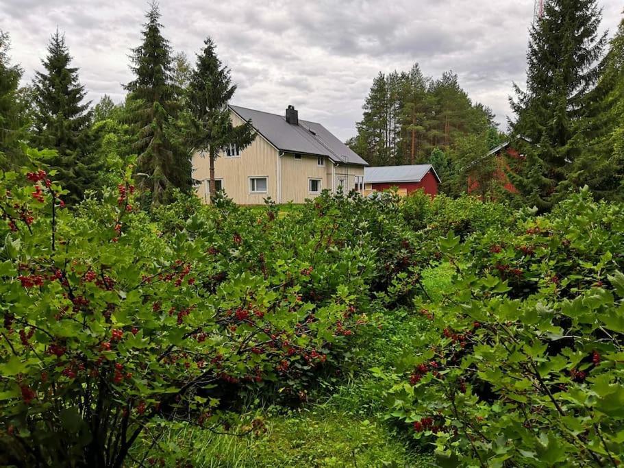 Вилла Mukava Mummonmoekki Maaseudun Rauhassa Koivu Экстерьер фото
