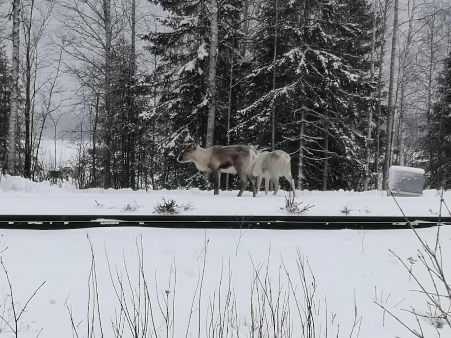 Вилла Mukava Mummonmoekki Maaseudun Rauhassa Koivu Экстерьер фото