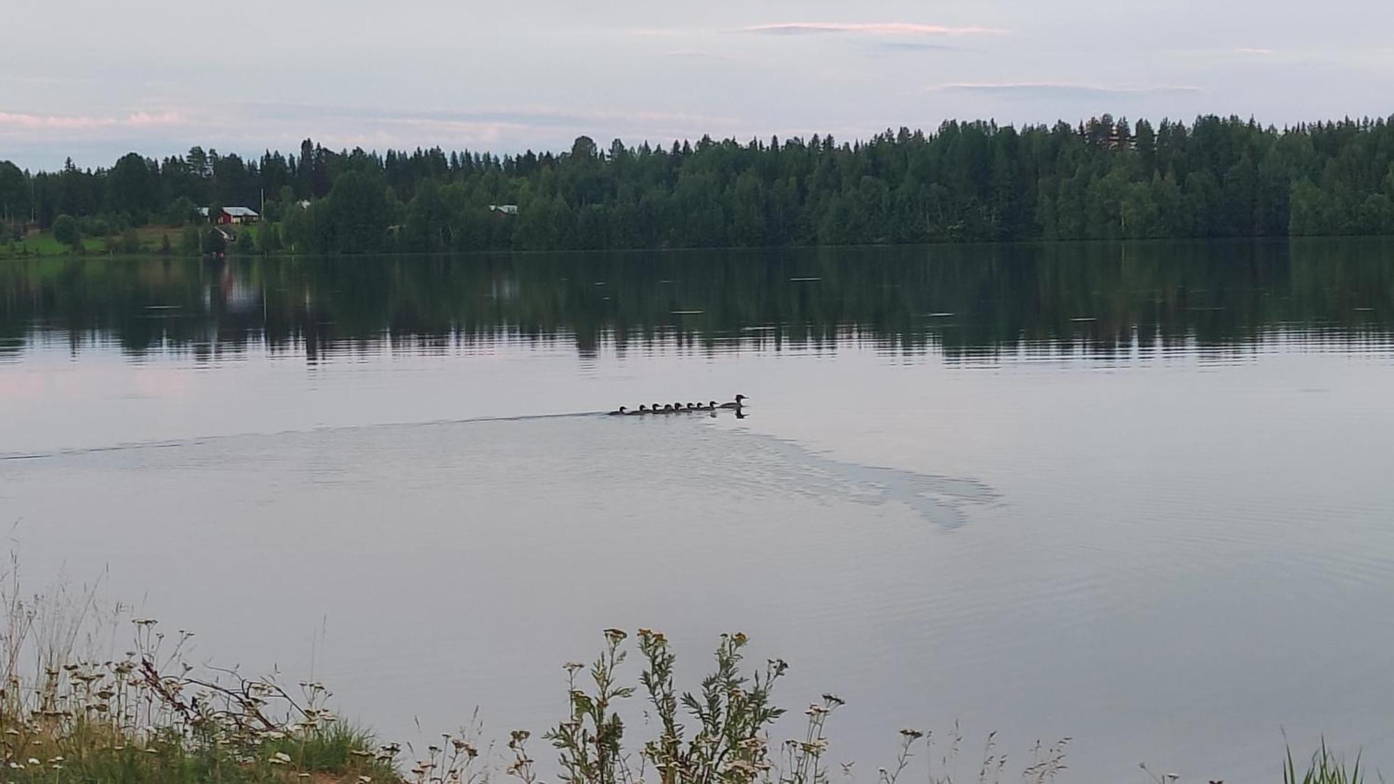 Вилла Mukava Mummonmoekki Maaseudun Rauhassa Koivu Экстерьер фото